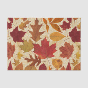 Herbst-Blätter auf Beige Seidenpapier