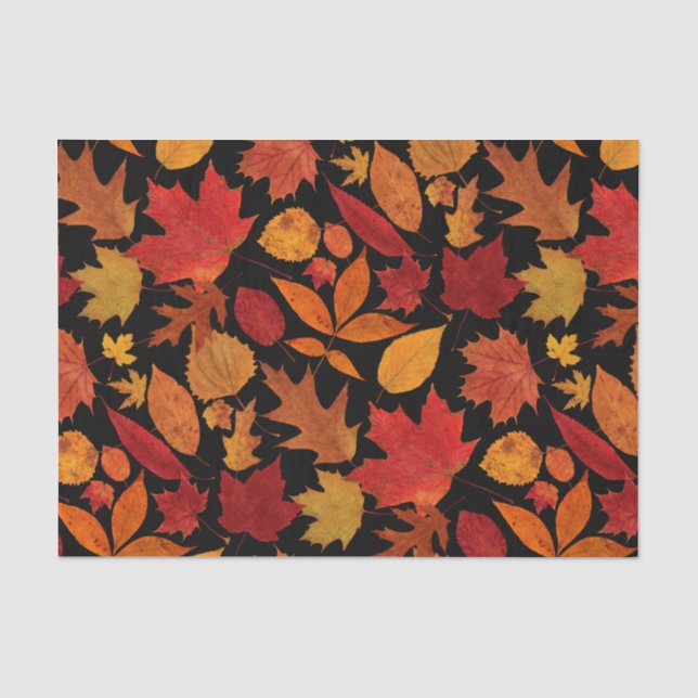 Herbst-Blätter auf Schwarzem Seidenpapier (Vorderseite)