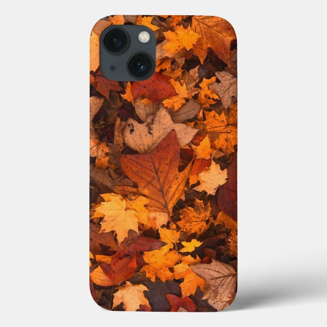 Herbst, Blätter, Blattwerk Case-Mate iPhone Hülle (Rückseite)