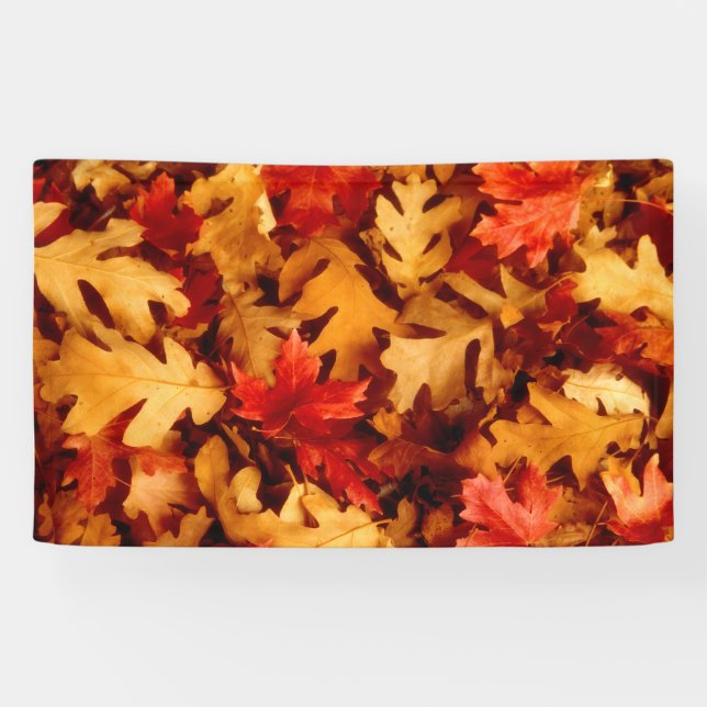 Herbst-Blätter - Fall-Farbe Banner (Horizontal)
