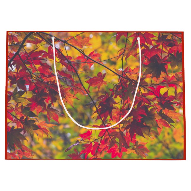 Herbst-Blätter-Fall-Farbrot-Natur Große Geschenktüte (Vorderseite)