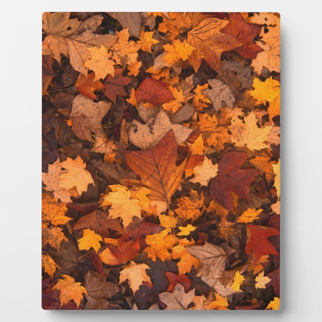 Herbst-Blätter Fotoplatte (Vorderseite)