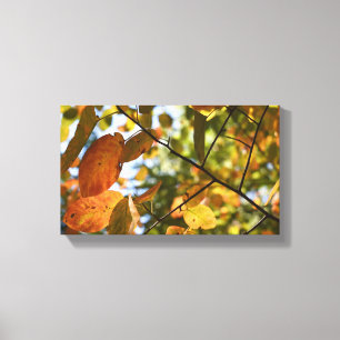 Herbst-Blätter Herbst Blätter Naturbaum Fotografie Leinwanddruck