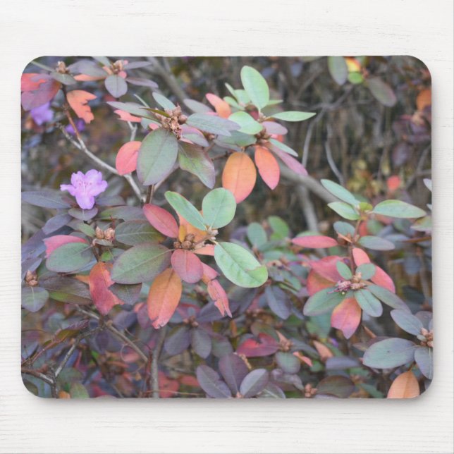 Herbst-Blätter Herbst Blätter Naturbaum Fotografie Mousepad (Vorne)