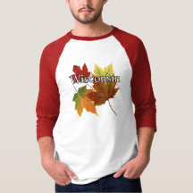 HERBST-BLÄTTER IN WISCONSIN