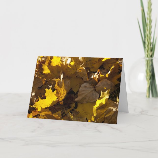 Herbst-Blätter - Karte (Vorderseite)