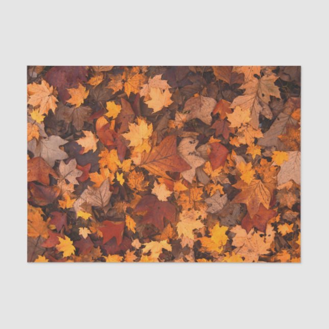 Herbst-Blätter Seidenpapier (Vorderseite)