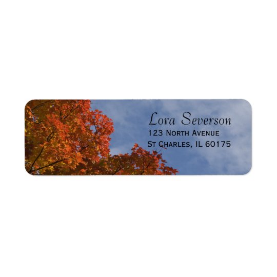 Herbst-Blätter und blauer