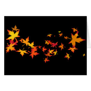 Herbst-Blätter von Neu-England