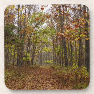 Herbst Bliss Getränkeuntersetzer