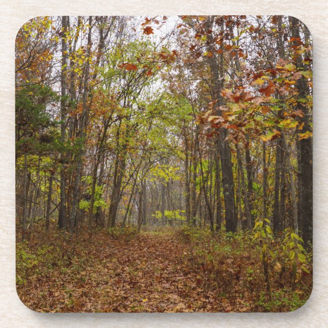 Herbst Bliss Getränkeuntersetzer (Vorderseite)