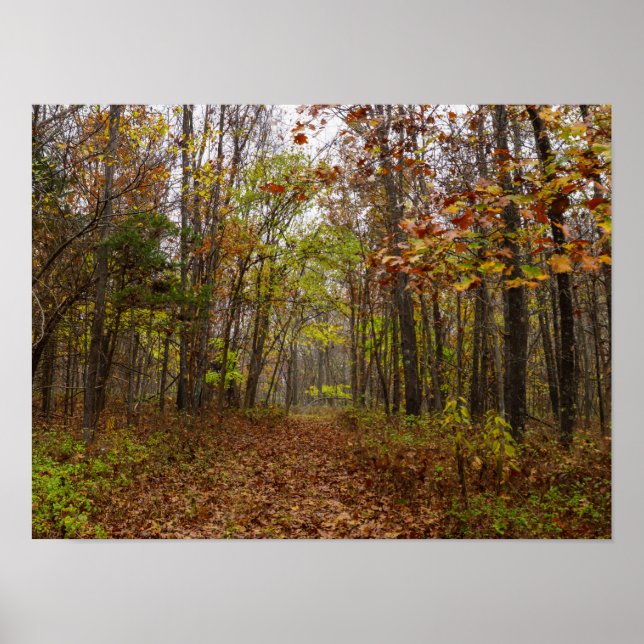 Herbst Bliss Poster (Vorne)