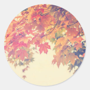 Herbst-Brise Runder Aufkleber