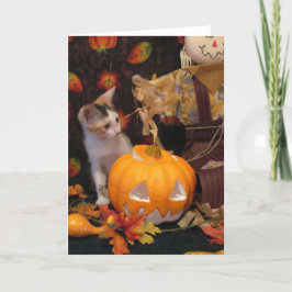 Herbst - Die Halloween-Kitten-Grußkarte Karte