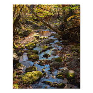 Herbst durch einen Bach im Catskill Gebirge Fotodruck