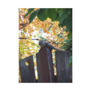 Herbst-Eichhörnchen III Leinwanddruck