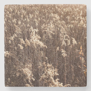 Herbst einheimisches Gras bei Sonnenaufgang Steinuntersetzer