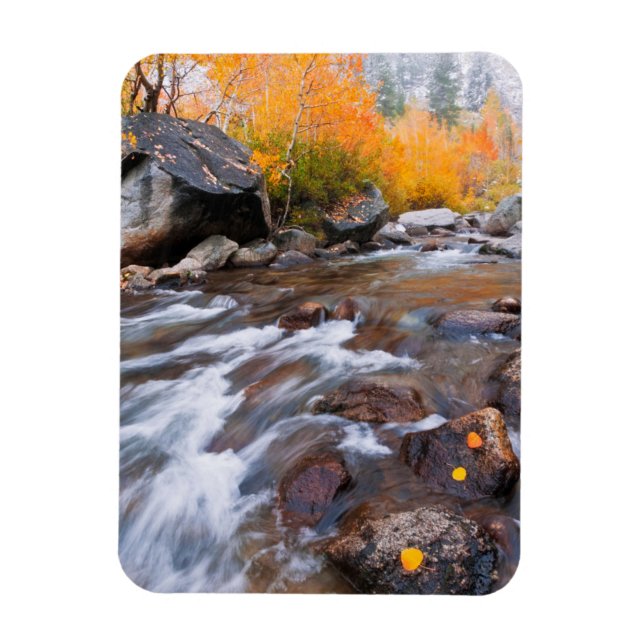 Herbst entlang Bischof Creek, CA Magnet (Vertikal)