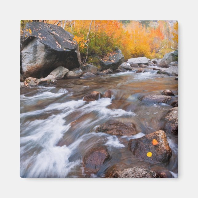 Herbst entlang Bischof Creek, CA Magnet (Vorne)