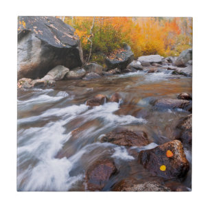 Herbst entlang Bishop Creek, CA Fliese
