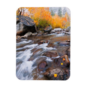 Herbst entlang Bishop Creek, CA Magnet