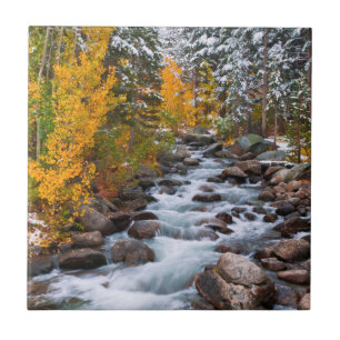 Herbst entlang Bishop Creek, Kalifornien Fliese