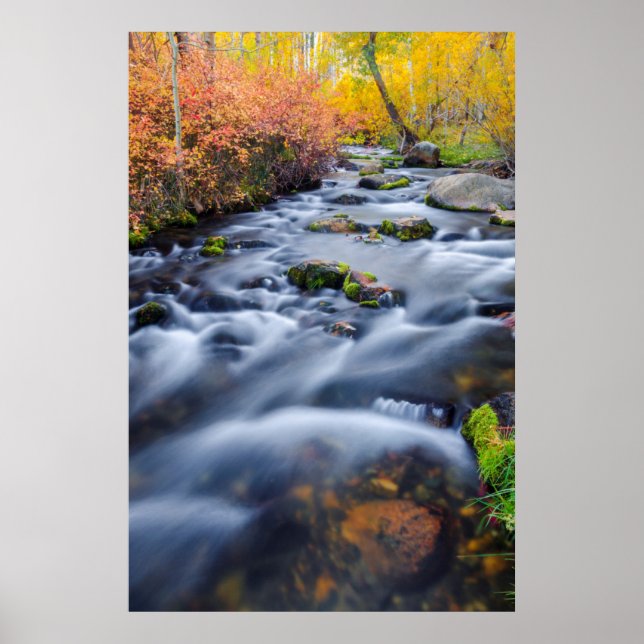 Herbst entlang Lundy Creek, Kalifornien Poster (Vorne)