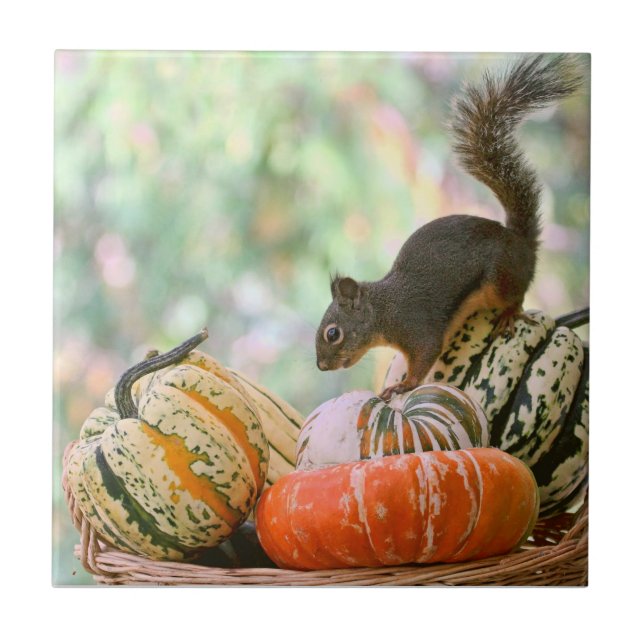 Herbst-Ernte-Eichhörnchen Fliese (Vorderseite)