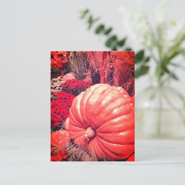 Herbst-Ernte-Postkarte Postkarte (Stehend Vorderseite)