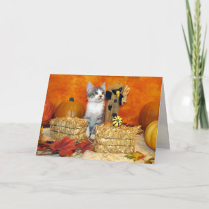 Herbst/Erntedank-Karte des Schweineschocks - Katze Feiertagskarte