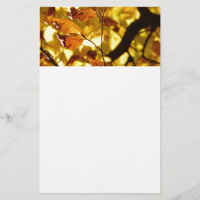 Herbst-Fall-Baum verlässt Jahreszeit-Schicksals-Na Briefpapier (Vorderseite)