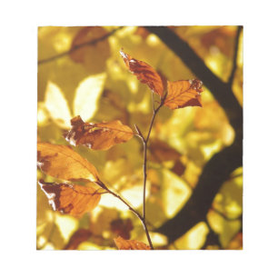 Herbst-Fall-Baum verlässt Jahreszeit-Schicksals-Na Notizblock