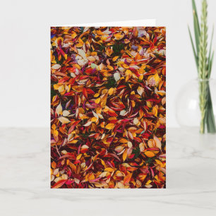 Herbst-Farb-Blatt-Foto-Gruß Karte