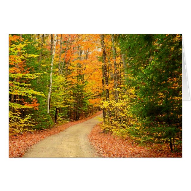 HERBST-FARBEN (Vorderseite (Horizontal))