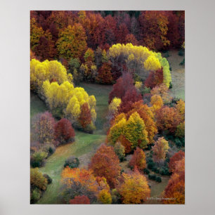 Herbst-Farben Poster
