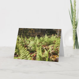 Herbst Ferns Karte