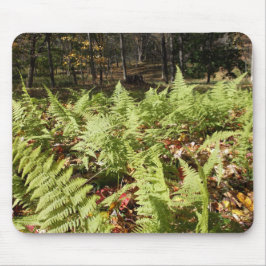 Herbst Ferns Mousepad