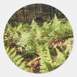 Herbst Ferns Runder Aufkleber