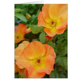 Herbst-Flammen-Rosen-Karte