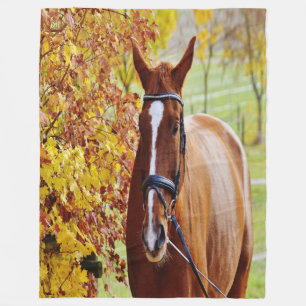 Herbst Fleecedecke