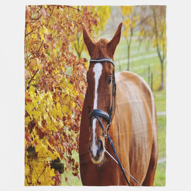Herbst Fleecedecke (Vorderseite)