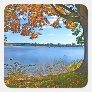 Herbst-Fluss-Szenen-Aufkleber Quadratischer Aufkleber