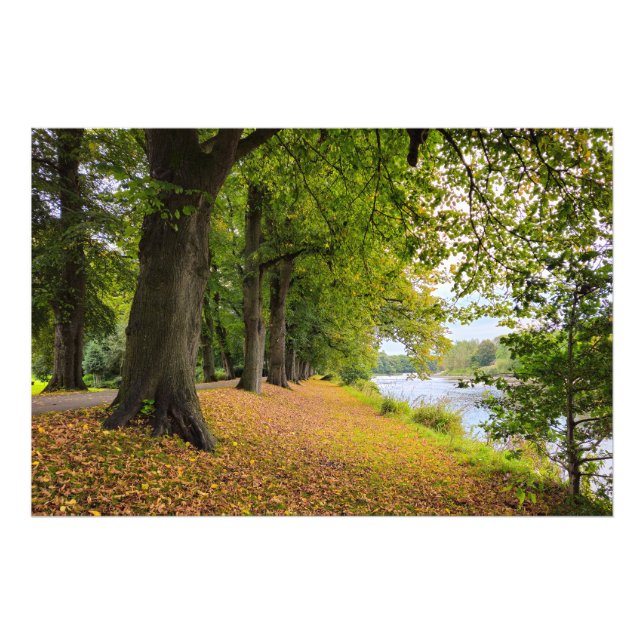 Herbst Fotodruck (Vorne)