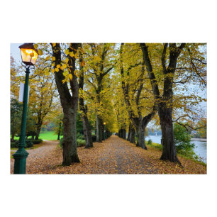 Herbst fotodruck