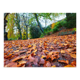 Herbst Fotodruck