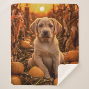 Herbst Gelbe Labrador Pup Sherpadecke