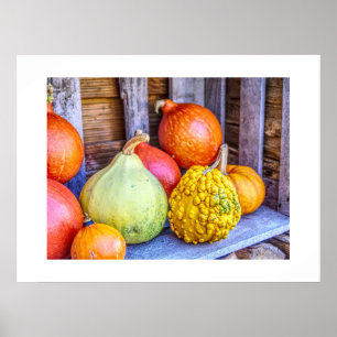 Herbst Gourds Poster
