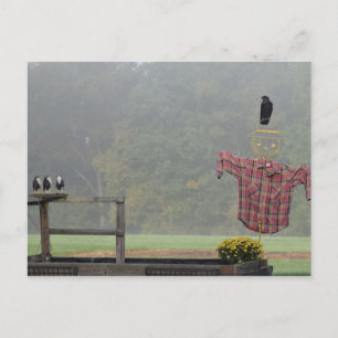 Herbst Grüße! Von der Vogelscheuche! Postkarte