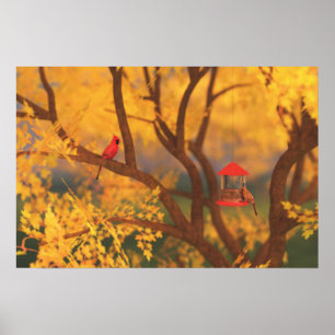 Herbst-Guardian-Druck Poster