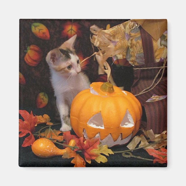 Herbst/Halloween Kitten Magnet (Vorne)